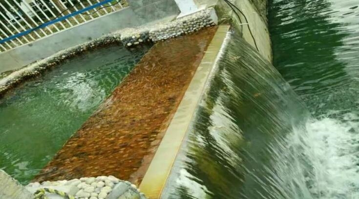 【關(guān)注】使命必達(dá)、久久為功——走近中建環(huán)能華東公司