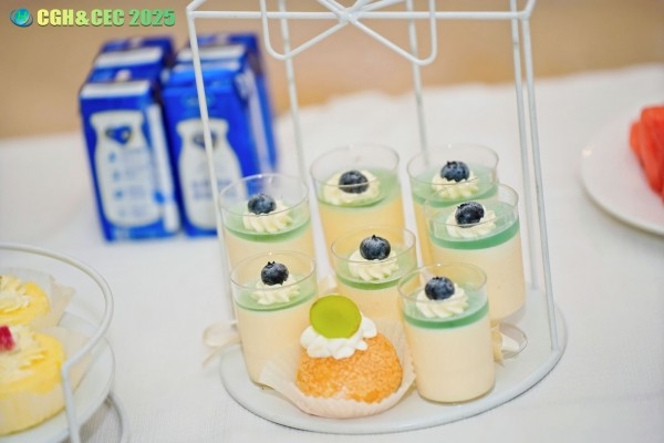 CGH&CEC 2025第二屆中國(guó)綠氫博覽會(huì)&中國(guó)電解槽大會(huì)圓滿(mǎn)落幕