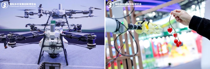 2026 IRID國際鄉(xiāng)村發(fā)展創(chuàng)新博覽會正式啟動：科技賦能鄉(xiāng)村，創(chuàng)新引領(lǐng)未來！